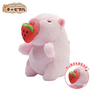 `r} ANByXCJ(sN)zJso ʂ L[z_[ }XRbg L[`F[ 킢 n ӂӂ v[g Mtg q l lC ObY LN^[ ob