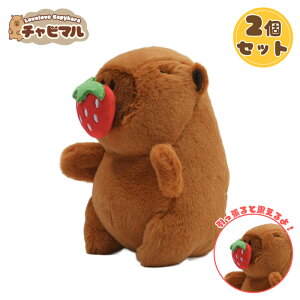 y2Zbgz`r} ^EXyC`SzJso ʂ L[z_[ }XRbg L[`F[ 킢 n ӂӂ v[g Mtg q l lC ObY LN^[