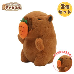 y2Zbgz`r} WF~jyjWzJso ʂ L[z_[ }XRbg L[`F[ 킢 n ӂӂ v[g Mtg q l lC ObY LN^