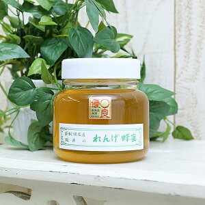 y݂͂ YzYQ I r 400gyRG400B/{Izn`~c {Y Q  XC[c pP[L