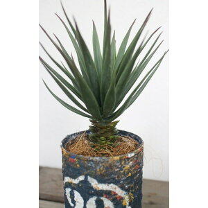 yȂ邷 tFCNO[zcc Ǐ Ǌ|CeA ϗtA EH[fR[V  Ǌ| CeA C~e[VO[ ͗lւ  v[g 