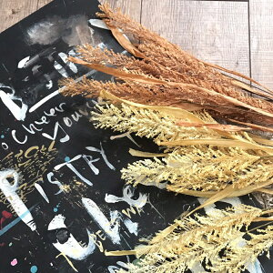 yȂ邷 tFCNO[z MM yCG[/uEzǏ ϗtA EH[fR[V  CeA C~e[VO[ ͗lւ 