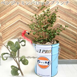 ytFCNO[zxW~obNu`  Ǐ ϗtA EH[fR[V  Ǌ| CeA C~e[VO[ ͗lւ  v[g l炵 j