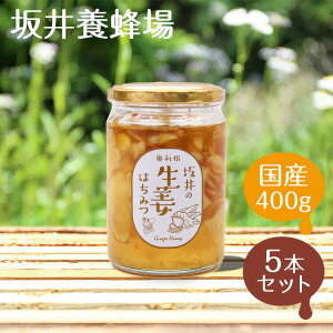 yI݂͂ 400g 5{Zbg ݂͂ Yz̐I݂͂ 2kgȏy{Izn`~c I nj[ N e ݂͂ I {Y Mtg XC[c ₦ r^~ ~l 