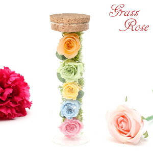 yhV̓ v[gzvU[uht[ OX[YyGS190910Az ԑ Mtg ` o KN  킢  ꂳ