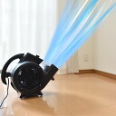 【レビュー特典】 ストームファンモナイト サンコー 超強力！台風クラスの床用送風機 送風機 家庭用 100V サーキュレ…