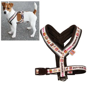 y n[lX o[K[RNXzybgpn[lXyo[K[RNX/PTHV1z STCY n[lX p ₷ O₷ obN 񂿂  Ck ʗp ybgp