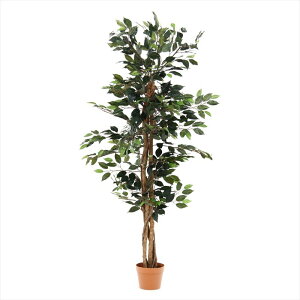 観葉植物 フィカス 690 A【メーカー直送品】おしゃれ 新生活 一人暮らし オススメ お洒落 オシャレ 北欧 レトロ シンプル 頑丈 コンパクト 省スペース 引越し