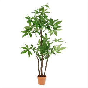 観葉植物 パキラ スタンダード【メーカー直送品】おしゃれ 新生活 一人暮らし オススメ お洒落 オシャレ 北欧 レトロ シンプル 頑丈 コンパクト 省スペース 引越し