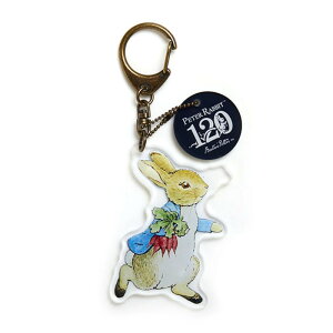 s[^[rbg̃AN}XRbgEL[z_[ S6 ys[^[ƐAؔ/WE/Q/o/s[^[Ƃɂ񂶂/}z 킢    傫 120N