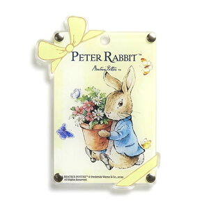 �l�b�N�X�g���b�v�t�� �s�[�^�[���r�b�g�̃A�N�����}�X�R�b�g�E�p�X�P�[�X �S3�� �y�s�[�^�[�Ɗ_��/���o����/�s�[�^�[�ƐA�ؔ��z ���킢�� ���� ������� ������ ������� IC�J�[�h �g��