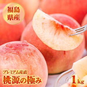 yIm1/2!Iōő100|CgҌzy7{ȍ~oׁzv~AY YEE̋ɂ 1kgy[J[izʍ͔|  Mtg J^O R[X fU