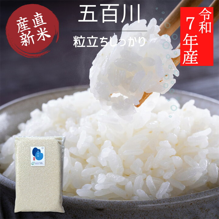 楽天市場】新米 令和7年産 五百川 5kg 真空パック【白米/無洗米/1袋/2 