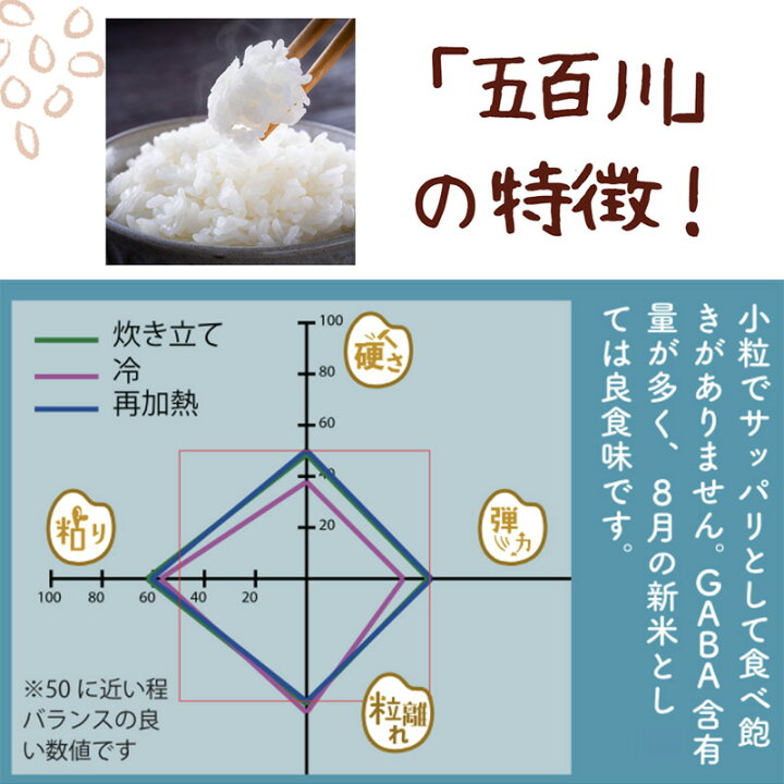 楽天市場】新米 令和7年産 五百川 5kg 真空パック【白米/無洗米/1袋/2 