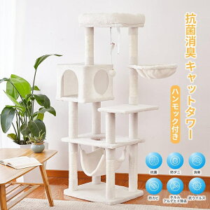 Lbg^[ u A L50×40×140yO[/AC{[z y[J[iz R L u X ^L ^ ^ ~j  nbN  킢 ܂Ƃ 