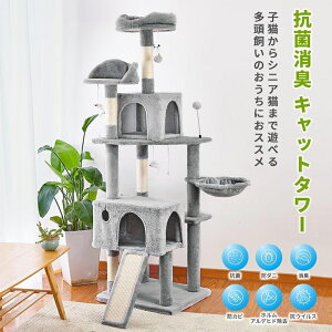 Lbg^[ u B L53×48×170yO[/AC{[z y[J[iz X ^L ^ ^  nbN  킢 ܂Ƃ  L^[ ˂  