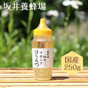 yIm1/2!Iōő100|CgҌzyr[Tzy݂͂ Y GIlzIAJVAI250g Y yTA250/{Izn`~c nj[ {Y AJVA XC[c ᓜ