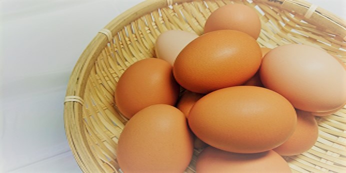 秋田の鶏卵1,896円庭鶏の卵1ケース6個入を4ケース24個 送料込 玉子