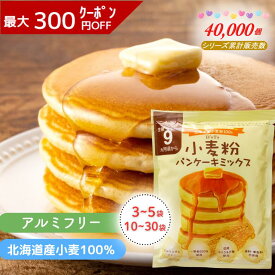 《ランキング第1位》【D'sTs直営店】ホットケーキミックス パンケーキミックス 100g×3袋～30袋 ホットケーキ パンケーキ ミックス パン ケーキ 粉 ケーキミックス ミックス粉 パンケーキ粉 無添加ホットケーキミックス 使い切り 赤ちゃん 離乳食 保存料 着色料 香料 無添加