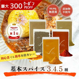 《ランキング第1位》【D'sTs直営店】カレー スパイス 100g 1種 3種 4種 5種 ～ ターメリック クミンパウダー コリアンダーパウダー チリパウダー クミンホール ～ カレー粉 カレーパウダー 無添加 カレースパイスセット カレースパイスパウダー スパイスカレー 手作り キット