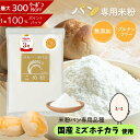 《ランキング第1位》 【D'sTs直営店】米粉 パン用 ミズホチカラ 880g 2kg～20kg グルテンフリー パン用米粉 国産 こめこ パン 米粉パン粉 米粉パン専用 米粉パンホームベーカリー ミズホチカラ米粉 パン用米粉ミズホチカラ みずほのちから 無添加 ミズホノチカラ 米粉パン