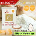 《ランキング第1位》【D'sTs直営店】 米粉 パン用 ミズホチカラ 880g 2kg～20kg 無添加 グルテンフリー パン用米粉 国産 こめこ パン 米粉パン粉 米粉パン専用 米粉パンホームベーカリー ミズホチカラ米粉 パン用米粉ミズホチカラ みずほのちから ミズホノチカラ 米粉パン