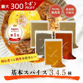 《ランキング第1位》 【D'sTs 直営店】カレー スパイス 100g 1種 3種 4種 5種 ～ターメリック クミンパウダー コリアンダーパウダー チリパウダー クミンホール～ カレー粉 無添加 カレースパイス カレースパイスパウダー スパイスカレー キット カレーパウダー 唐辛子