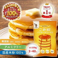 【D'sTs直営店】【抽選★最大100%還元】 米粉 ホットケーキミックス パンケーキミックス 100g×3袋～40袋…