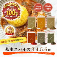 【抽選★最大100%還元】 カレー スパイス 100g 1種 3種 4種 5種 6種 ターメリック クミンパウダー コリア…
