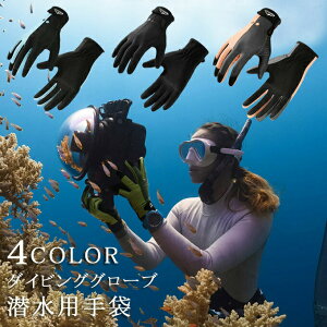 gQh~ j O[u ނ h ~ p E₷ _CrOO[u  T[tBO[u } Ng O΍ fB[X Y