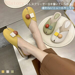 ~[ T_ fB[X y^R _炩 [q[ Xbp 抄 ʋ JWA t H d  ₷  y