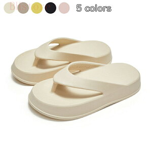 Xbp r[`T_ gOT_ C V[Y EVA  Y fB[X jp ₷ O  [V[Y y  t  H ~