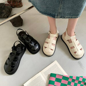 T_ fB[X EhgD OJT_  ₷ Xgbv }WbNe[v  JWA 킢 ubN zCg