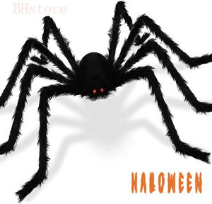 y2_ZbgznEB[ p[eB[ w w N XpC_[ ~ n  N  ʂ 90cm |   蕨 ~vbv