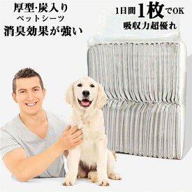 炭入 強力 消臭 チンチラ ペットシーツ ワイド 厚型 炭シート 消臭 スーパーワイド 猫 おしっこマット ペットシート レギュラー トイレシート 犬 オリジナルシーツ 厚型 うさぎ ペットシーツ モルモット 用 ペットシーツ S M L XL 送料無料