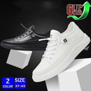 V[NbgV[Y Y  gAbv6cm up6cm wȂ  Xj[J[ U[ Cq[ K rWlXV[Y Xj[J[ amC