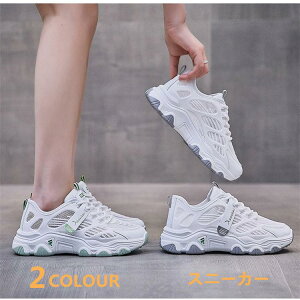 Xj[J[ fB[X  EH[LOV[Y jOV[Y