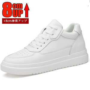 Y  V[NbgV[Y gAbv 8cm up8cm w  Xj[J[ vC amC Cq[ K ʋC JWAV[Y V