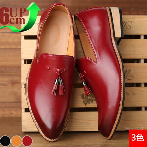  gAbv6cm V[NbgV[Y up6cm wȂ Y  rWlXV[Y C Xj[J[ Cq[ K JWA