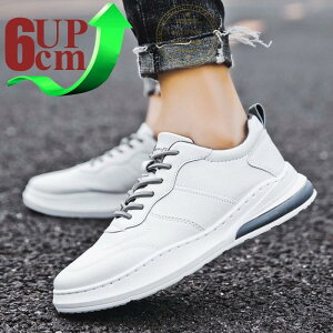  gAbv6cm V[NbgV[Y up6cm wȂ Y Xj[J[ V[NbgV[Y Cq[ K JWAV[Y amC