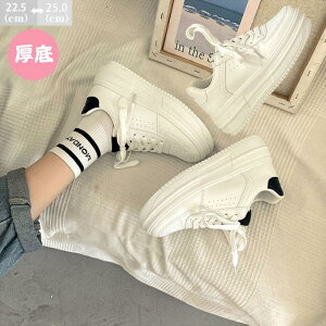 Xj[J[ Xj[J[ fB[X fB[X [Jbg y ^C Ȃ RC rh V[Y Vv zCg ubN ؍