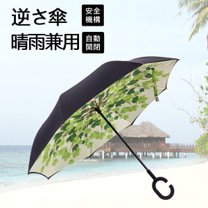 fB[X JP P Y P  tP ^b` Jp jp H t܂ ܂肽 8{ P ~J΍ ϕ 傫