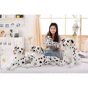  ʂ Ck _VA 4TCY   A CeA 40cm/60cm/75cm/90cm