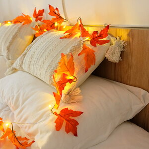 ̗t LED  O \[[Cg K[fCg h z  obe[^Cv/usb^Cv/\[[^Cv