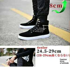 5cm up wȂC V  V[NbgV[Y Xj[J[