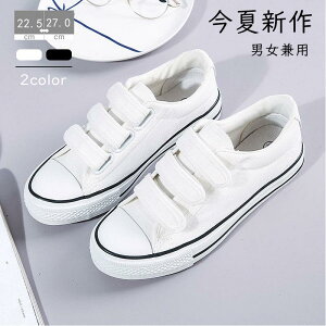 fB[X Y Xj[J[ I` LoX [JbgXj[J[  JW A  ʋ ʊw ^C Ȃ jp