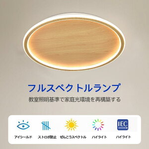 Hsv tȒP LED F F dF LED 6-12 V[OCg k  F ȃGl VƖ Ɩ ԐڏƖ  Hsv |V[O