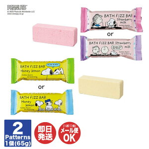 s[ibc oXtBYo[ 2킠nj[ / Xgx[~Ny ^ubg oXtBY Xk[s[ PEANUTS LN^[ v`Mtg ސE ʉ  Mtg v[g 