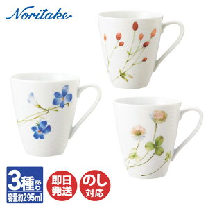 m^P AZUMANOMICHI Â܂̘H}OJbv 3킠 yM  X[v T_ v[g Noritake Ԃ Mtg j oYj j j Cj j o zj Vzj   