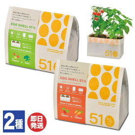 聖新陶芸 エコエッグシェル 栽培セット 2種あり(ミニトマト/バジル ミニトマト/ミニキャロット )【栽培キット 野菜 観葉植物 プチギフト 退職 送別会 卒業 ギフト お返し バレンタイン 挨拶 お礼 粗品 景品 誕生日】